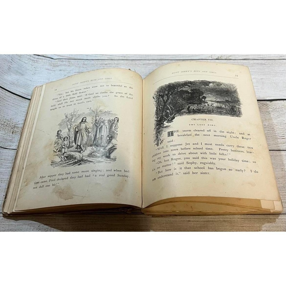1881 Antique Childrens Book Aunt Sophy's Boys and Girls Mrs Sanford Dutton TubH2 - Picture 5 of 12